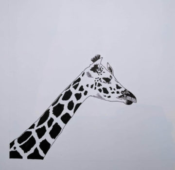 Karan Ambardar -arts