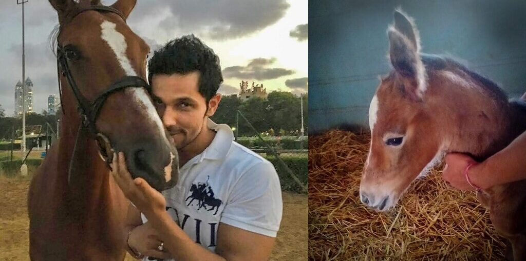 Randeep Hooda's horse