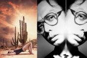Cactus: A Pictorial Map Of The Torturous Journey To Celebville