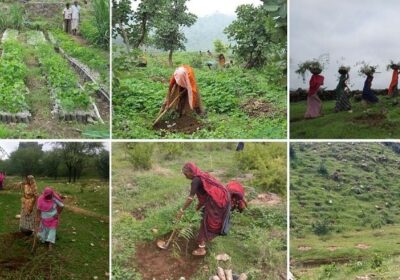 World Animal Day Celebration (1)