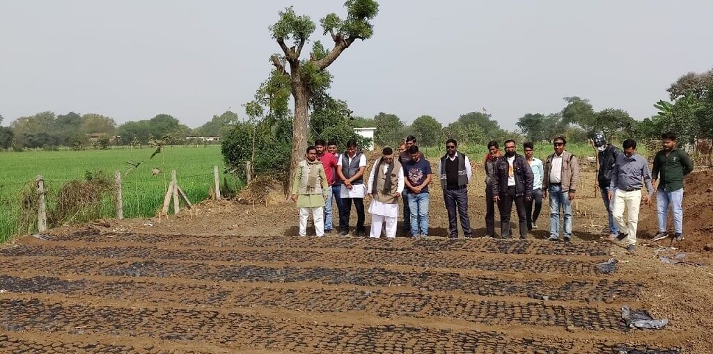 An afforestation project that helps farmers