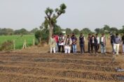 An afforestation project that helps farmers