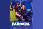 Punjabi Track #Pandora