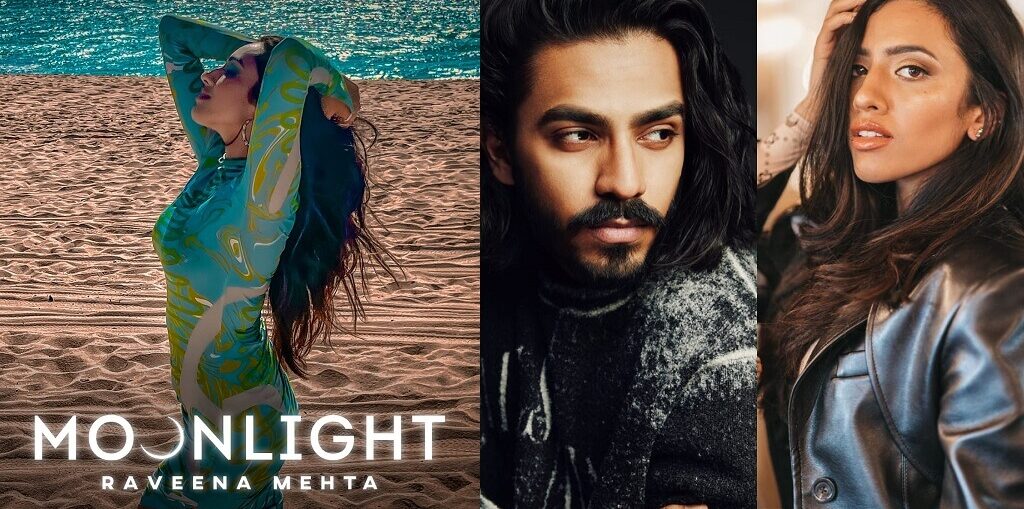 Raveena Mehta's 'Moonlight'