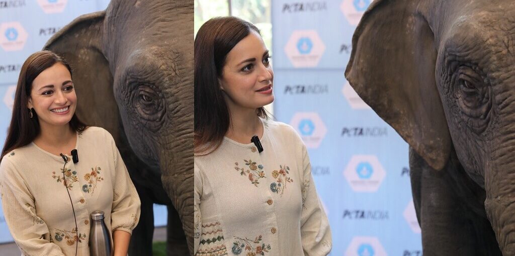 Dia Mirza is Ellie