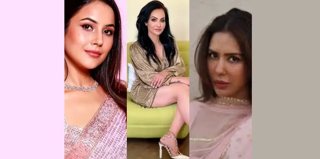 Three divas in the Punjabi entertainment industry